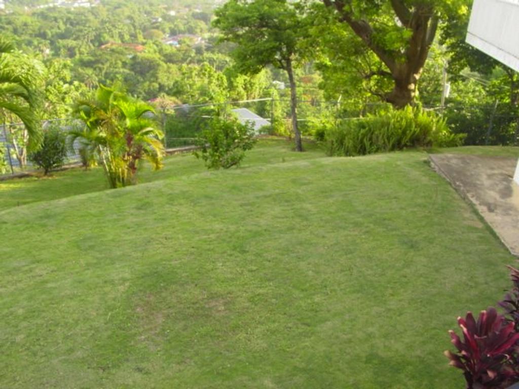 Hill Top Kingston Jamaica Bagian luar foto